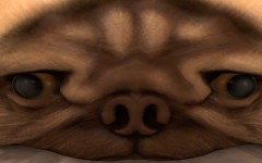 pl_dogbread_a1a
