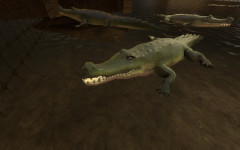 koth_gatorlake_a4